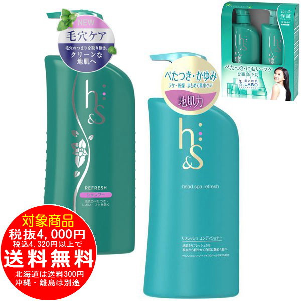 h&s リフレッシュ ポンプ2ステップ