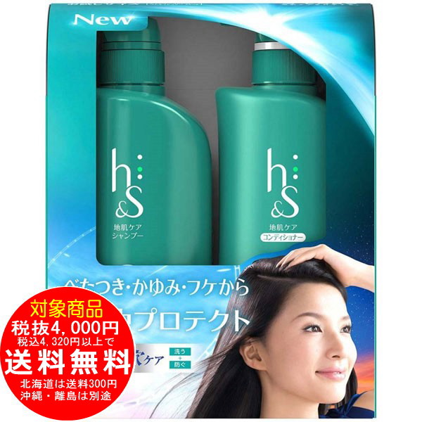 h&s リフレッシュ ポンプ 本体セット