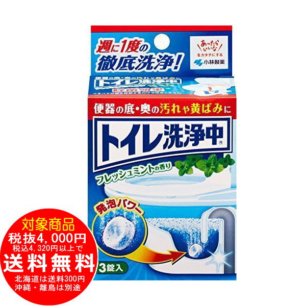トイレ洗浄中 フレッシュミントの香り 3錠