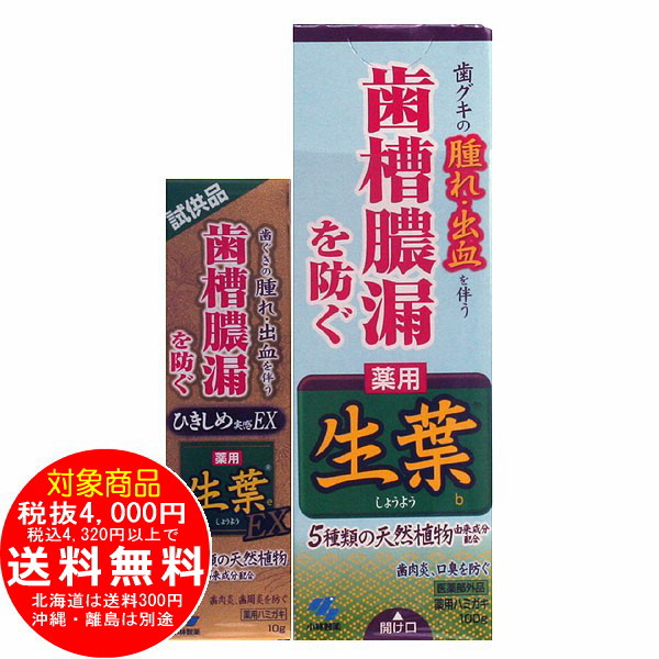 生葉 b 100g 生葉EX試供品付