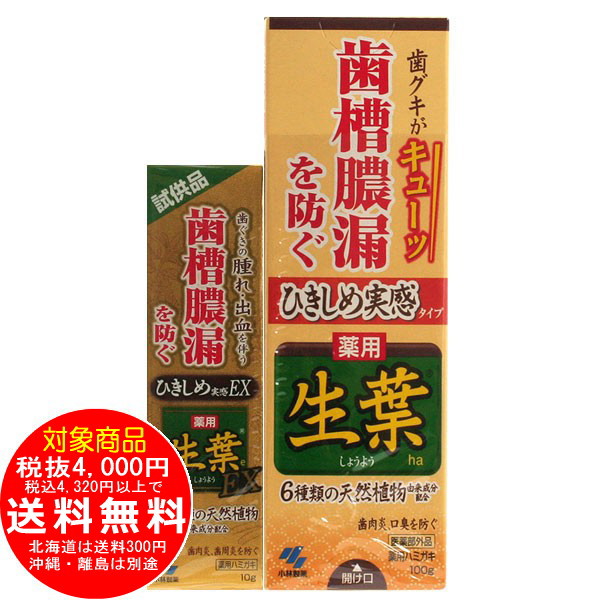 ひきしめ生葉 100g 生葉EX試供品付